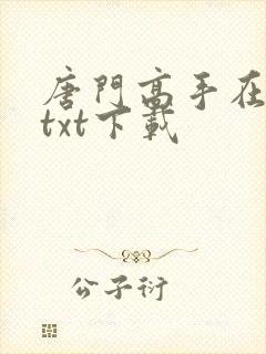 唐门高手在异世txt下载封面