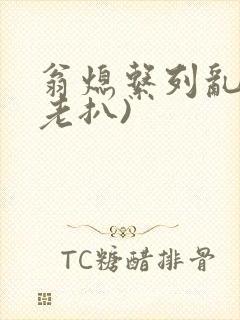 翁熄系列乱 (老扒)