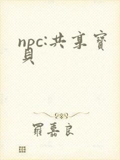 npc:共享宝贝