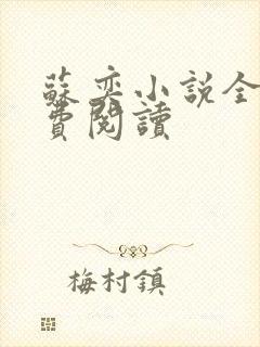 苏奕小说全文免费阅读