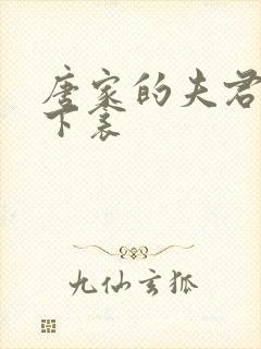 唐家的夫君们帘下衾封面