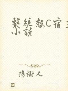 系统想C宿主的小说