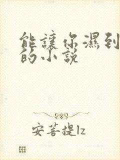 能让你湿到不行的小说封面