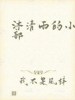 沐清雨的小说全部封面