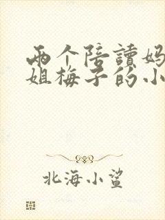 两个陪读妈妈赵姐梅子的小说