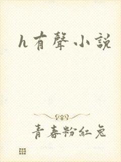 h有声小说