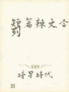 短篇辣文合集系列封面