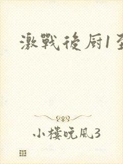 激战后厨1至5封面