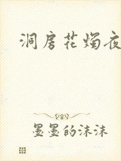 洞房花烛夜小说