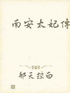南安太妃传封面