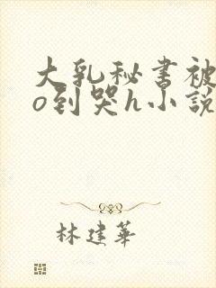 大乳秘书被cao到哭h小说