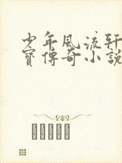 少年风流轩辕大宝传奇小说