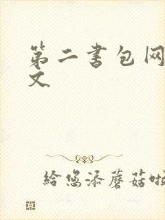 第二书包网高辣文