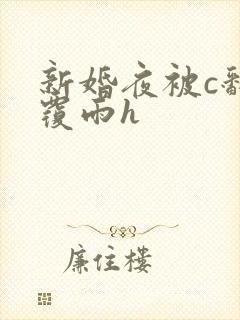 新婚夜被c翻云覆雨h封面