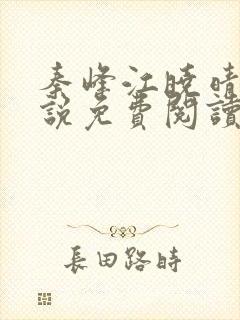 秦峰江晓晴的小说免费阅读