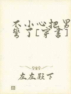 不小心把男主掰弯了[穿书]封面