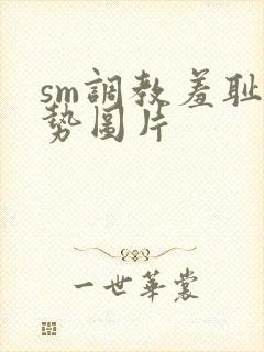 sm调教羞耻姿势图片