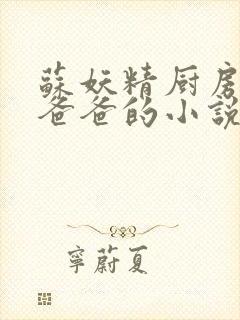 苏妖精厨房爹爹爸爸的小说