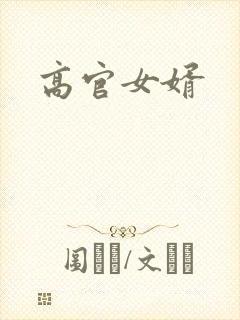 高官女婿