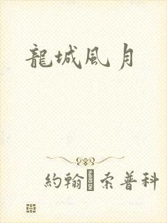 龙城风月封面