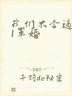 我们不合适1v1军婚