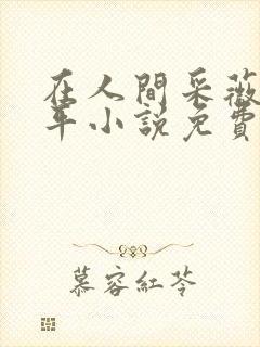 在人间采薇陆三平小说免费阅读封面