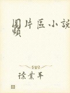 图片区小说区视频