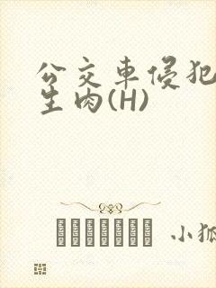 公交车侵犯小男生肉(H)