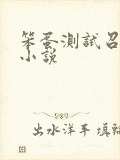 笨蛋测试召唤兽小说
