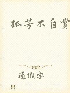 孤芳不自赏小说