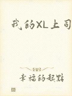 我的XL上司封面