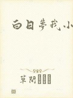 白日梦我小说