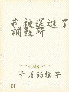 我被送进了私奴调教所