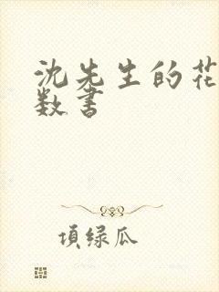 沈先生的花式调数书封面