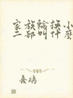 家族轮换小说第二部叫什么名字