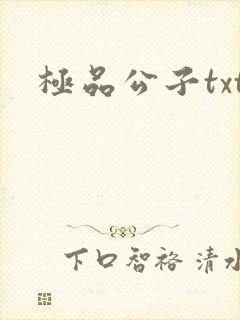 极品公子txt封面