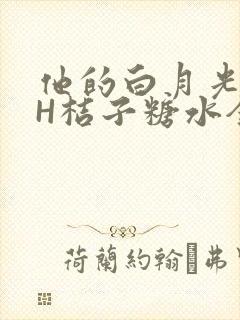 他的白月光HVH桔子糖水全文