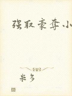 强取豪夺小说封面