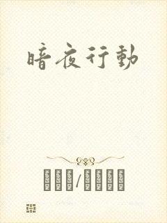 暗夜行动封面