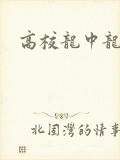 高校龙中龙