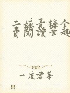 二嫁青梅全文免费阅读笔趣阁封面