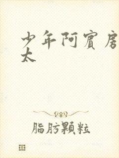 少年阿宾房东太太封面