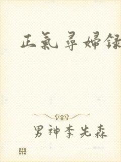 正气寻妇录