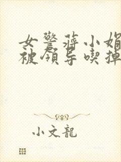 女警蒋小娟的奶被领导吃掉了封面