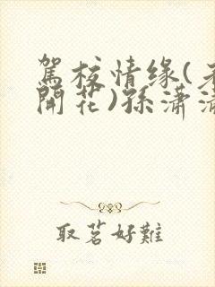 驾校情缘(老树开花)孙潇潇第一次趣笔阁封面