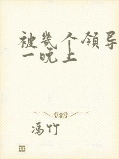 被几个领导玩弄一晚上