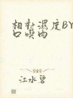 相对湿度BY大口吃肉