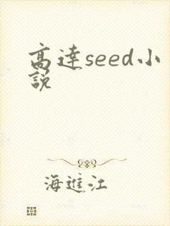 高达seed小说