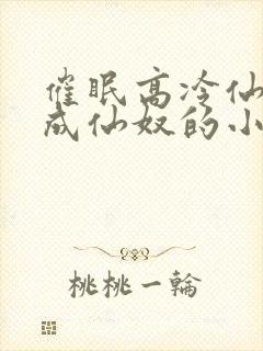 催眠高冷仙奴变成仙奴的小说