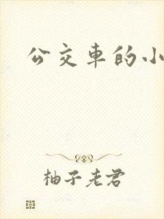 公交车的小说